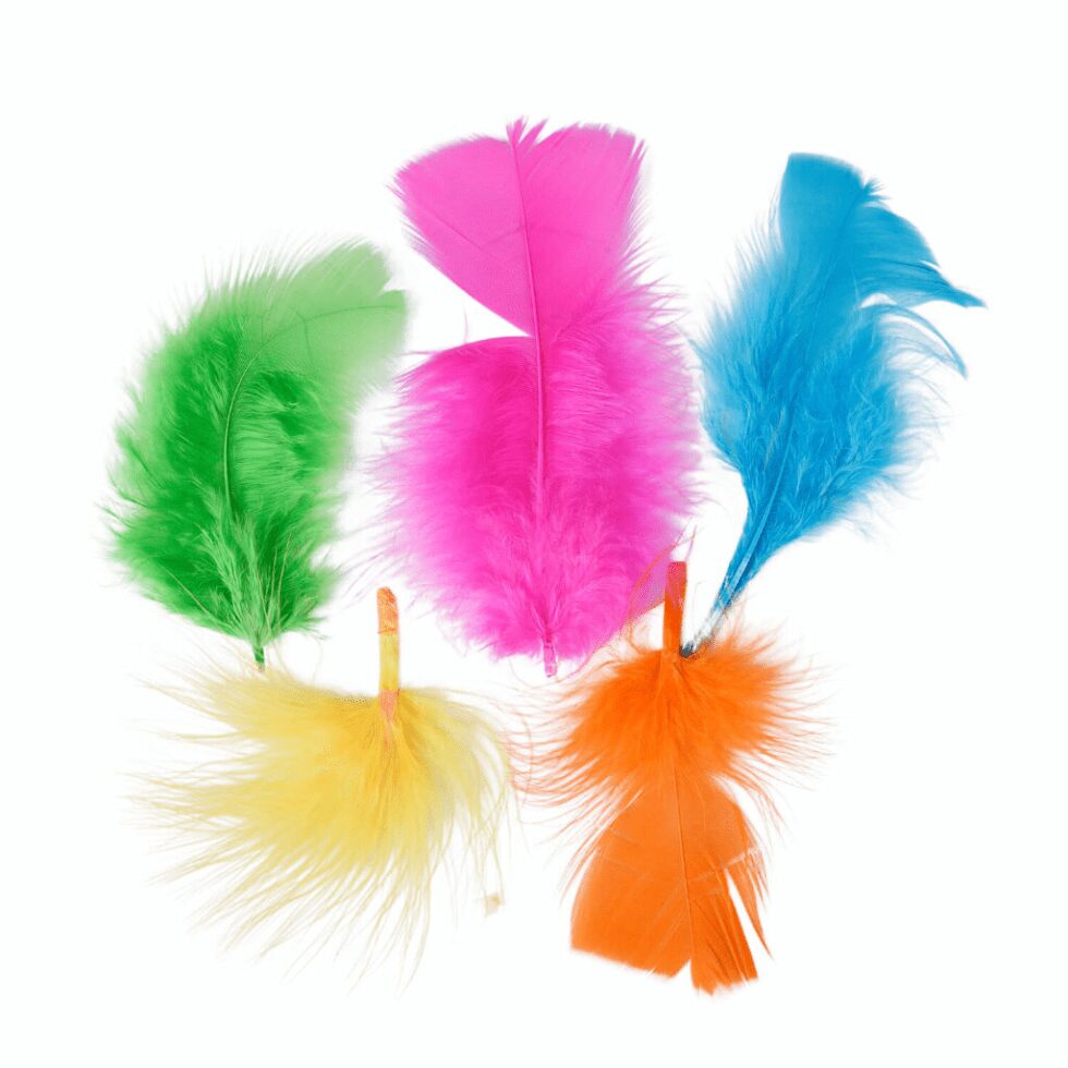 Plumas escolar Surtidas Torre - Imagen 2