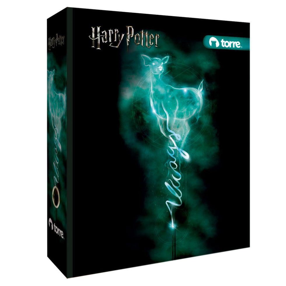 Archivador Oficio Harry Potter Torre - Imagen 5