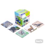 Memorice Plus Dactic - Imagen 2
