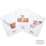 Láminas ¿Dónde está? Dactic - Imagen 4