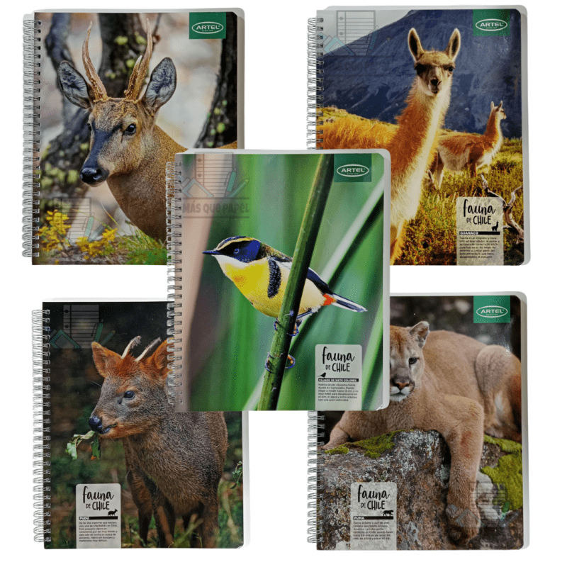Cuaderno Universitario Fauna de Chile Artel