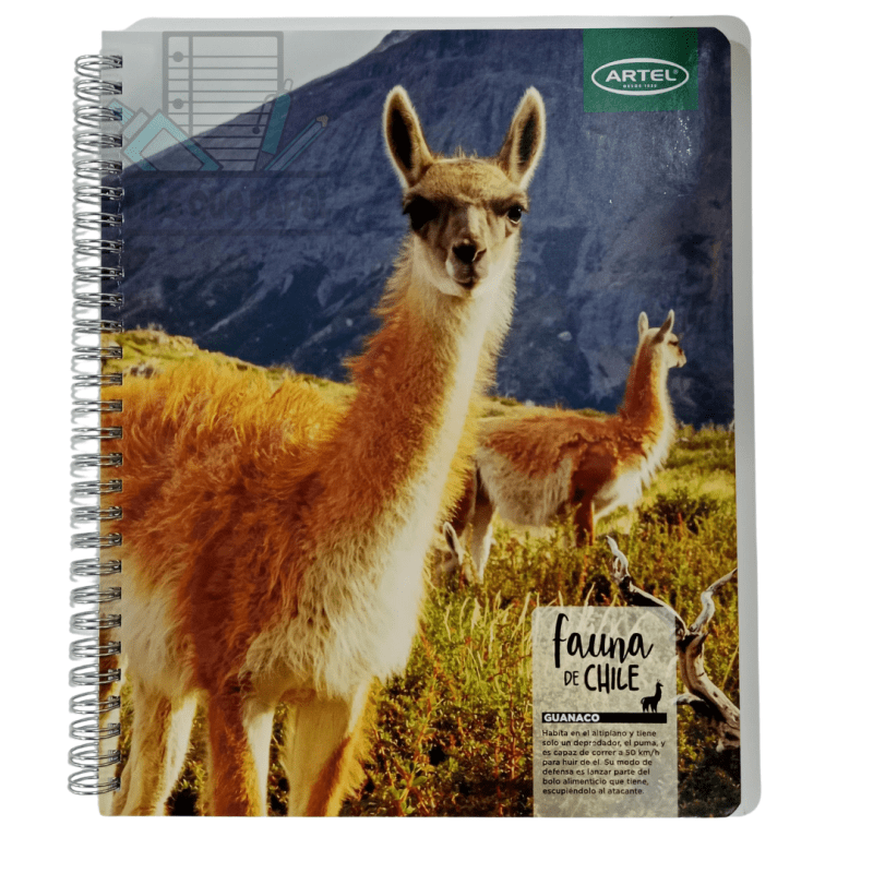 Cuaderno Universitario Fauna de Chile Artel - Imagen 6