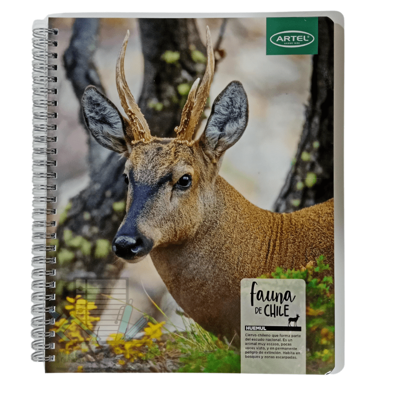 Cuaderno Universitario Fauna de Chile Artel - Imagen 5