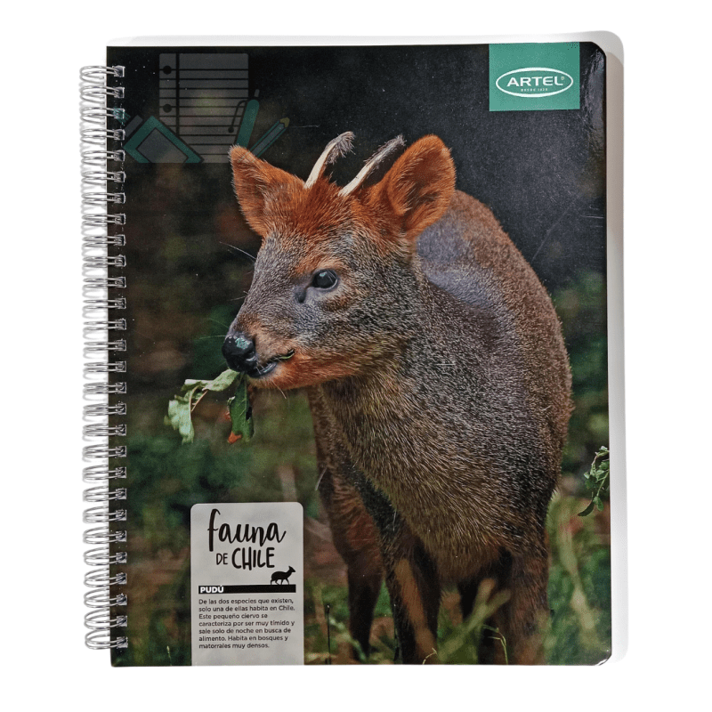 Cuaderno Universitario Fauna de Chile Artel - Imagen 4