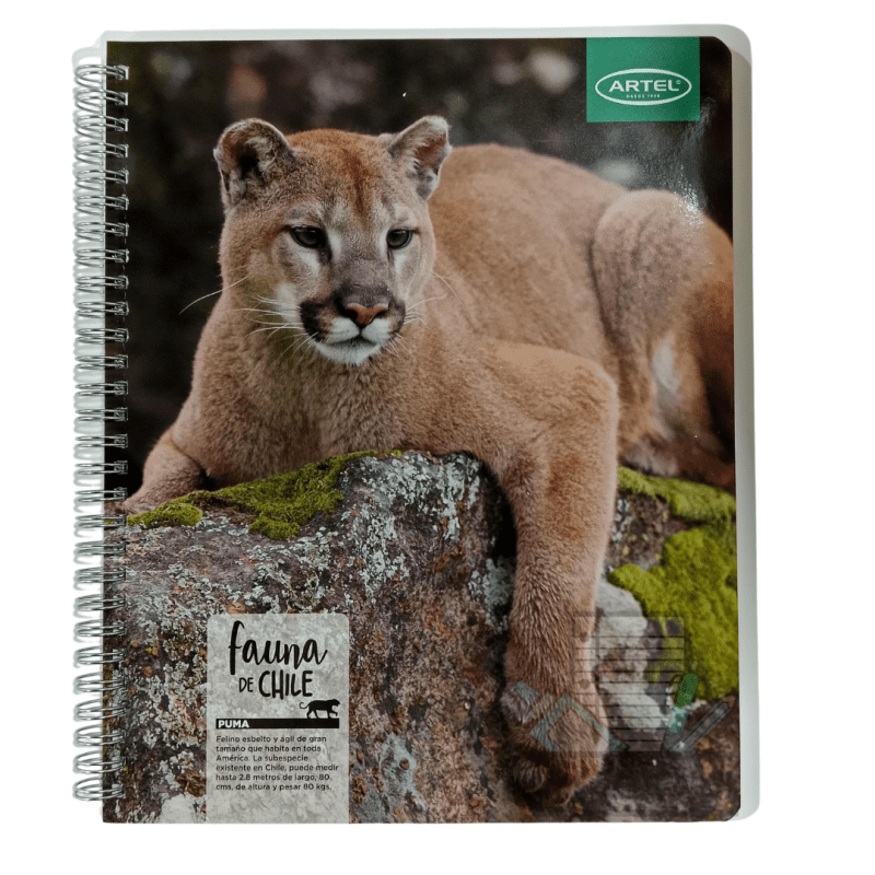 Cuaderno Universitario Fauna de Chile Artel - Imagen 3