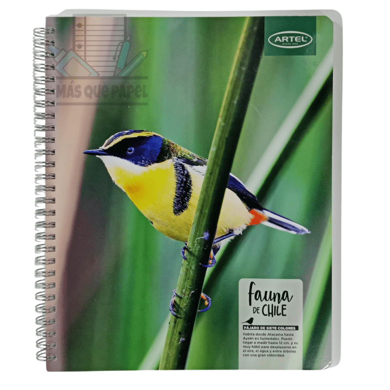 Cuaderno Universitario Fauna de Chile Artel - Imagen 2