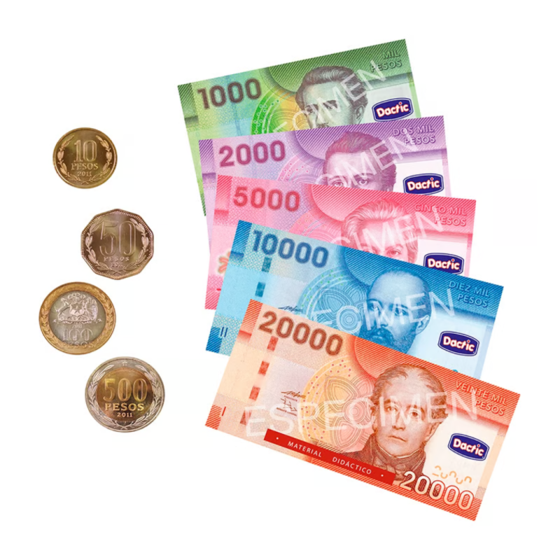Bolsa Billetes y Monedas Dactic