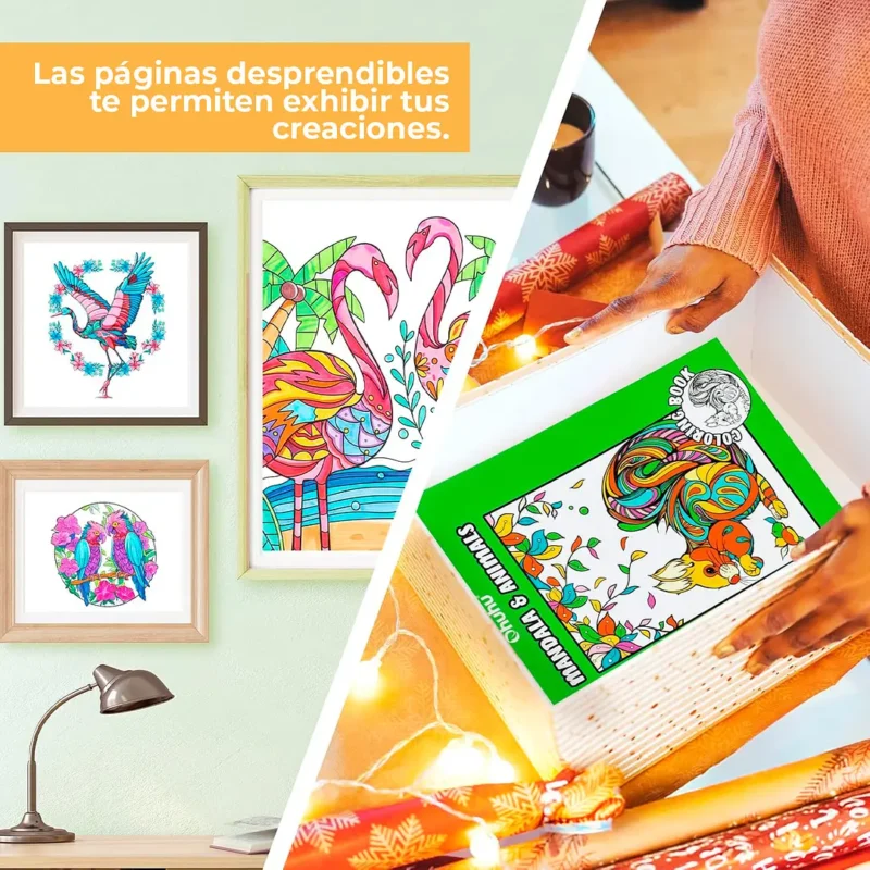 Libro para Colorear doble cara Animals & Mandala Ohuhu - Imagen 6