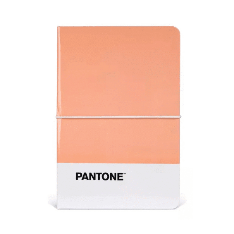 Libreta Lisa con Elástico Mediana Pantone - Imagen 2